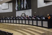 Câmara define integrantes  das comissões permanentes