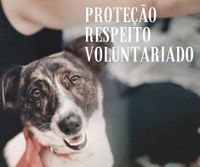 Sancionada Lei do Dia da Proteção, Respeito e Voluntariado das causas animais em CM
